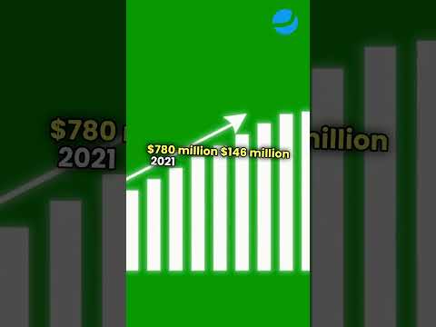 BigBear’s stock crashed 75% – is it over?📉 #jaeystocks #investing #news